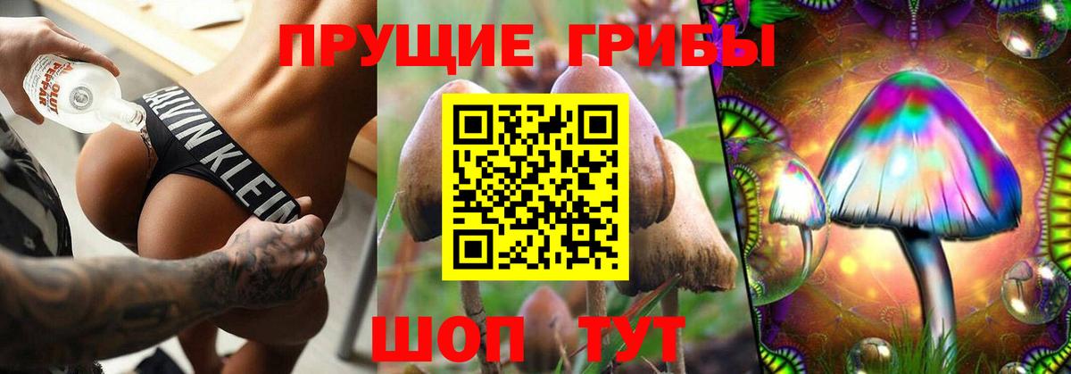 Ангарск  Галлюциногенные грибы Magic Shrooms  Вход с VPN 